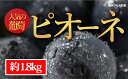 【ふるさと納税】☆先行予約【旬のぶどう】人気のピオーネ 約1...