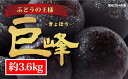 【ふるさと納税】☆先行予約【人気のブドウ】巨峰 約3.6kg...