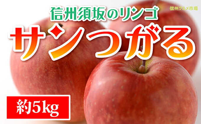 【ふるさと納税】サンつがる約5kg（約14～20玉）　秀品《信州グルメ市場》■2022年発送■※8月下旬頃～9月中旬頃まで順次発送予定 果物 フルーツ リンゴ りんご 林檎