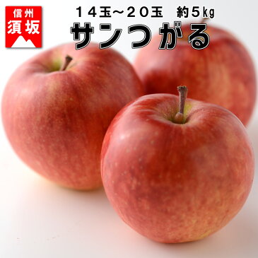 【ふるさと納税】サンつがる約5kg（約14～20玉）　秀品《信州グルメ市場》■2022年発送■※8月下旬頃～9月中旬頃まで順次発送予定 果物 フルーツ リンゴ りんご 林檎