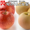 【ふるさと納税】【信州須坂のフルーツ】旬のリンゴ&旬の梨 約...