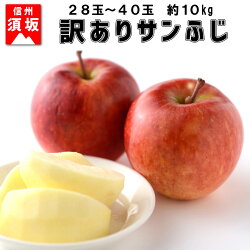 【ふるさと納税】訳あり　サンふじ約10kg（約22～40玉）　家庭用《信州グルメ市場》■2022年発送■※11月中旬頃～12月中旬頃まで順次発送予定 果物 フルーツ 林檎 りんご リンゴ 訳あり 家庭用･･･ 画像1