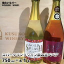 【ふるさと納税】スパークリングワイン飲み比べペア（ゴールドスプラッシュ2020＆鎧塚スパークリング2016）750ml×各1本《楠わいなりー》ワイン お酒 洋酒 ぶどう 葡萄 ブドウ