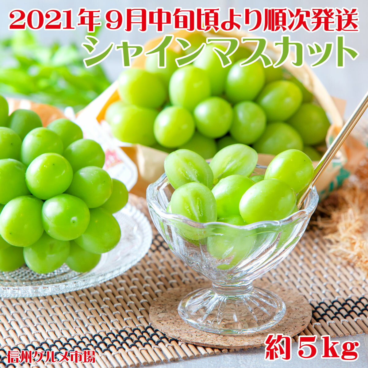 【ふるさと納税】シャインマスカット 約5kg《信州グルメ市場》■2021年発送■※9月中旬頃より順次発送予定 果物 フルーツ ぶどう