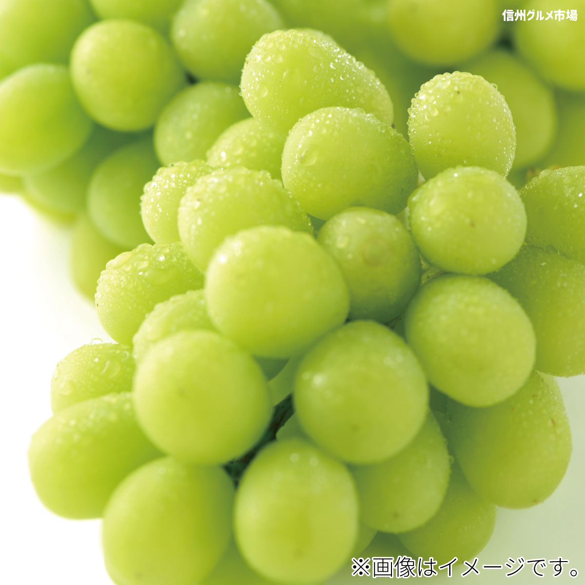 アイテムID:667906の画像3枚目