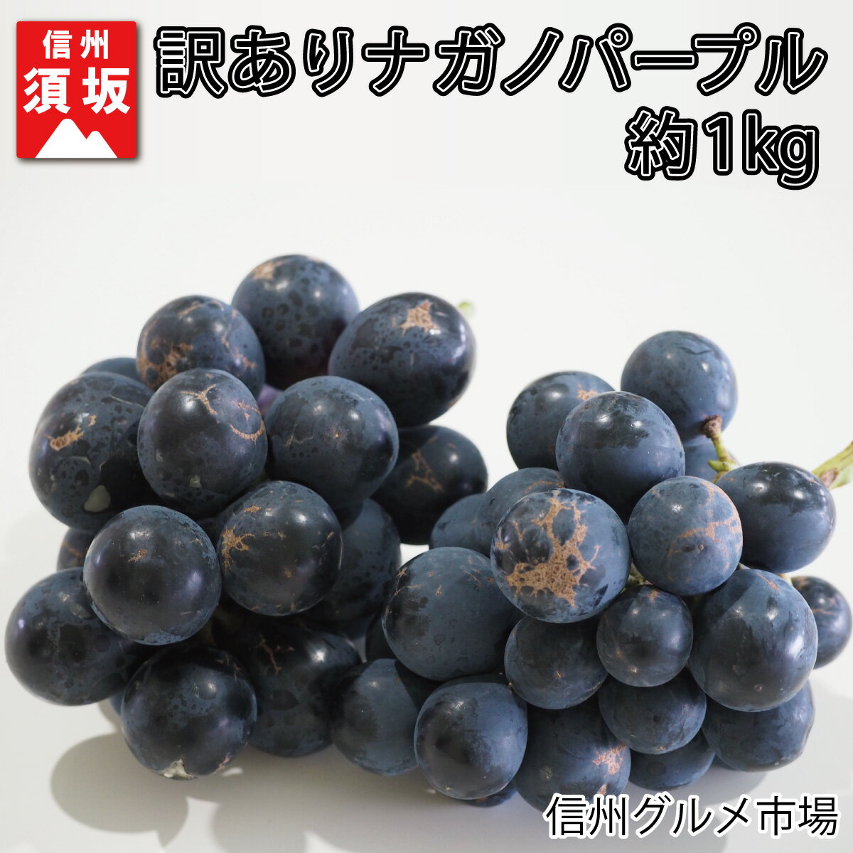 【ふるさと納税】訳ありナガノパープル 約1kg《信州グルメ市場》■2024年発送■※8月下旬頃～9月下旬頃まで順次発送予定 果物 フルーツ ぶどう ブドウ 葡萄 先行予約 期間限定 数量限定