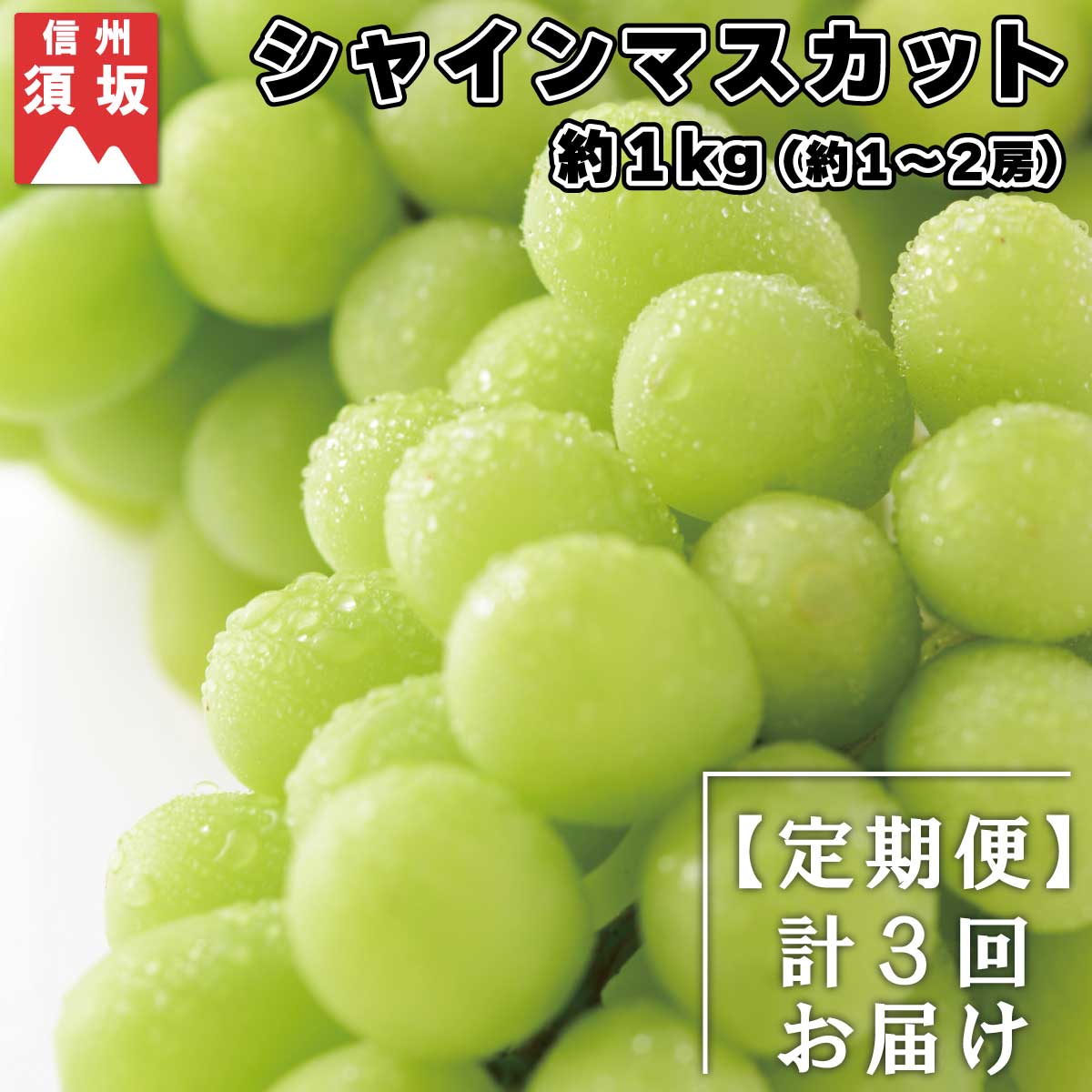 【ふるさと納税】【定期便】シャインマスカット 約1kg（約1～2房）×3回（9月・10月・11月）《信州グルメ市場》■2024年発送■※9月上旬頃～11月中旬頃まで順次発送予定 果物 フルーツ ぶどう ブドウ 葡萄 期間限定 数量限定･･･