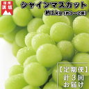 【ふるさと納税】【定期便】シャインマスカット 約1kg（約1～2房）×3回（9月・10月・11月）《信州グルメ市場》■2024年発送■※9月上旬頃～11月中旬頃まで順次発送予定 果物 フルーツ ぶどう ブドウ 葡萄 期間限定 数量限定･･･