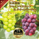 人気葡萄2種セット！シャインマスカット＆クイーンルージュ®約1.2kg（約2～3房）《信州グルメ市場》■2024年発送■※9月上旬頃～10月中旬頃まで順次発送予定 果物 フルーツ ぶどう ブドウ 葡萄 先行予約 期間限定 数量限定