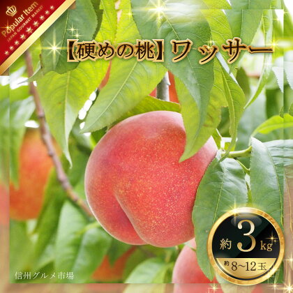 【硬めの桃】ワッサー約3kg（約8～12玉）《信州グルメ市場》■2024年発送■※7月下旬頃～8月中旬頃まで順次発送予定 果物 もも フルーツ