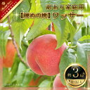 名称 訳あり家庭用　桃（ワッサー） 内容量 約3kg（約8〜12玉） ※玉数の指定は出来ません。 産地 長野県須坂市産 賞味期限 出荷日より約4日 ※到着後はなるべく早めにお召し上がりください。 事業者 信州グルメ市場 配送方法 冷蔵配送 お届け時期 2024年7月下旬頃～8月中旬頃まで順次発送予定 ※発送時期は、例年の発送時期になっております。その年の天候や発育によりお届けが遅れる、又は早まることがあります。 備考／注意事項 ※画像はイメージです。 ※贈答用としての取り扱いは想定しておりません。市からのお知らせ等が同梱されますのでご了承ください。 ※品種が硬めの桃になりますので予めご了承ください。 ※家庭用ワッサーの規格です。色ムラ、キズ・割れ等の訳あり商品となります。気にされる方は、お申込みをお控えくださいますようお願いいたします。 ※玉数の指定は出来ません。 ※品質保持の為、沖縄県、離島への発送はお受け出来ません。 ※収穫時期が限られている為、日時指定はできません。予めご了承ください。 ※発送時期は、例年の発送時期になっております。その年の天候や発育によりお届けが遅れる、又は早まることがあります。 ※長期不在のご予定がある場合は事前にご連絡お願い致します。出来る限り配送日の対応をさせて頂きます。 ※返礼品を複数個お申込みの場合、寄附受付日に関わらず同日に発送することがございます。 間隔をあけての発送を希望される場合は、その旨を備考欄にご記入いただくか、須坂市ふるさと納税サポートセンターまでご連絡ください。 ※お礼品の生育状況等によりまして、発送までにお時間をいただく場合がございます。 ※生もののため、到着時に必ず状態確認をお願い致します。傷み等ある場合は当日中にご連絡ください。 ※天候状況や栽培状況により色・食感・味覚について差が出ることがございます。農作物につき何卒ご理解くださいませ。 ・ふるさと納税よくある質問はこちら ・寄附申込みのキャンセル、返礼品の変更・返品はできません。あらかじめご了承ください。【ふるさと納税】【硬めの桃】訳あり家庭用 ワッサー約3kg（約8～12玉）《信州グルメ市場》■2024年発送■※7月下旬頃～8月中旬頃まで順次発送予定 ▼▼2024年7月下旬頃～8月中旬頃まで順次発送予定▼▼ 長野県須坂市で生まれたワッサーは、桃の中では小ぶりな品種です。 実は硬く引き締まりサクサクとした歯ごたえが特徴で、噛むと果汁が口の中でたっぷりと広がります。 太陽の光をたっぷり浴びて育った『ワッサー』を是非ご賞味ください。 ※こちらのワッサーは見た目にキズ・割れ・サビ等がある訳あり家庭用となっております。 寄附金の用途について まちづくり 産業振興 子どもは宝プロジェクトの推進 須坂市におまかせ 受領証明書及びワンストップ特例申請書のお届けについて 入金確認後、注文内容確認画面の【注文者情報】に記載の住所にお送りいたします。発送の時期は、入金確認後2〜3週間程度を目途に、お礼の特産品とは別にお送りいたします。