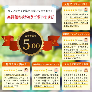 【ふるさと納税】シャインマスカット 【内容量が選択可能】700g 900g 1.2kg 2kg 3kg 5kg ■2024年発送■ ※9月上旬頃～10月下旬頃まで順次発送予定《信州グルメ市場》 先行予約 数量限定 期間限定 果物 フルーツ ぶどう ブドウ 葡萄