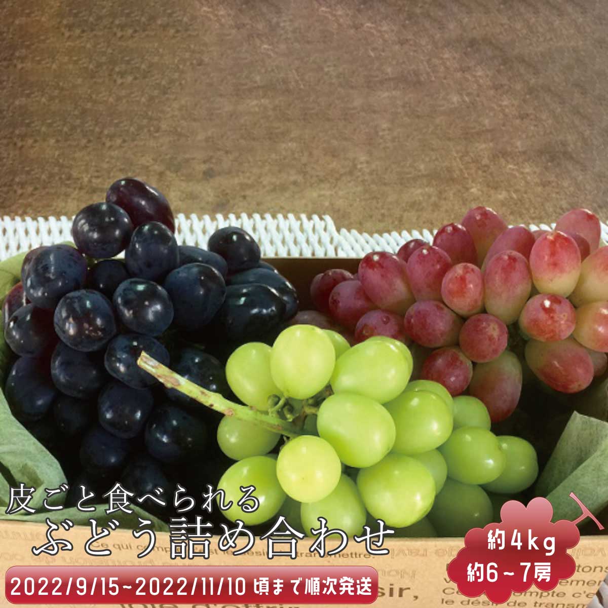 記事番号:33720/アイテムID:355217の画像