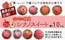 【ふるさと納税】【農家応援企画!】信州小諸産前向きシナノスイ...