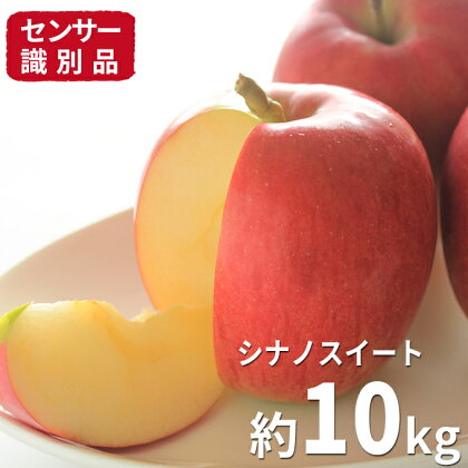 信州小諸産シナノスイート 約5kg 【果物・フルーツ・林檎】 お届け:2019年10月中旬〜11月上旬