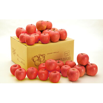 サンふじ 約10kg 【果物・フルーツ・林檎・りんご・リンゴ】 お届け:2019年12月1日〜2020年2月28日まで