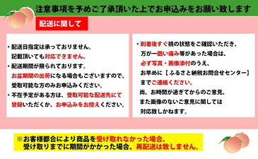 【ふるさと納税】信州小諸産「浅間水蜜桃」みつおかのもも約5kg【あかつき】　【果物・もも・桃・フルーツ】　お届け：2020年7月下旬〜8月中旬