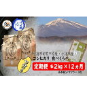 【ふるさと納税】【はぜ掛けコシヒカリ食べ比べ七分づき各2kg×12ヶ月定期便】特Aランク小諸市御牧ケ原産コシヒカリ・Aランク小諸市産コシヒカリ（初月手拭マフラー付き）　【定期便・お米・コシヒカリ・12ヶ月連続・米・計48kg】