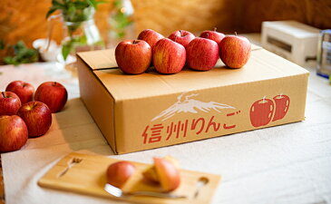 【ふるさと納税】【訳あり】サンふじ約5kg 【果物類・林檎・りんご・リンゴ・わけあり】 お届け:2021年12月上旬〜2022年1月下旬