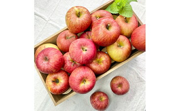 【ふるさと納税】【訳あり】りんごシナノスイート約5kg 【果物類・林檎・りんご・リンゴ・わけあり】 お届け:2021年10月上旬〜2021年11月下旬