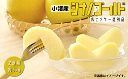 【ふるさと納税】信州小諸産 シナノゴールド 家庭用 約5kg　【果物類・林檎・黄色い・りんご・リンゴ・シナノゴールド・ 家庭用・5kg・甘くて・サクサク・酸味・甘味・JA選果機の光センサー選別・安心・品質保証】　お届け：2022年10月下旬〜11月下旬･･･ 画像1