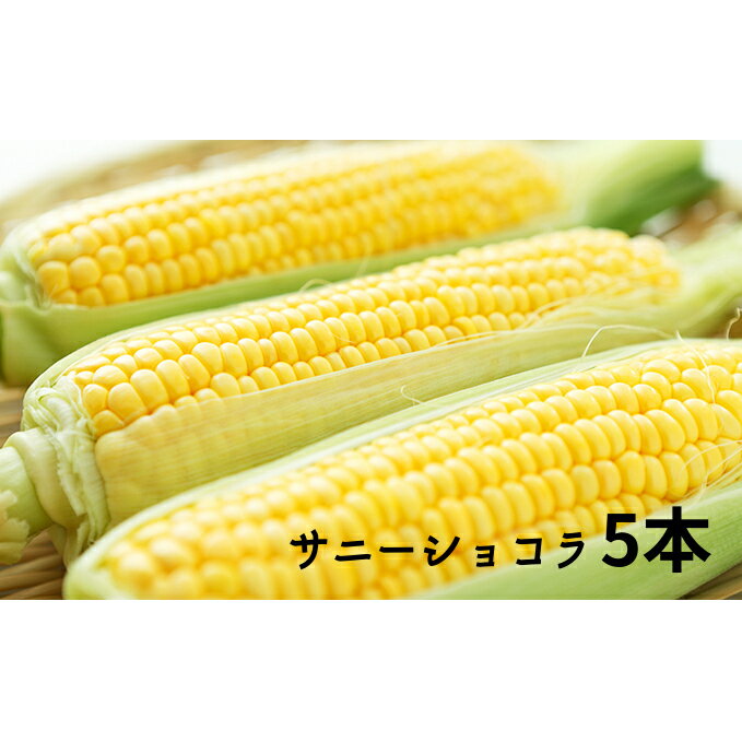 【ふるさと納税】信州小諸産　とうもろこし5本（サニーショコラ）　【野菜・とうもろこし・トウモロコシ・長野県産・甘い・やわらかい】　お届け：2022年7月下旬〜2022年8月上旬･･･