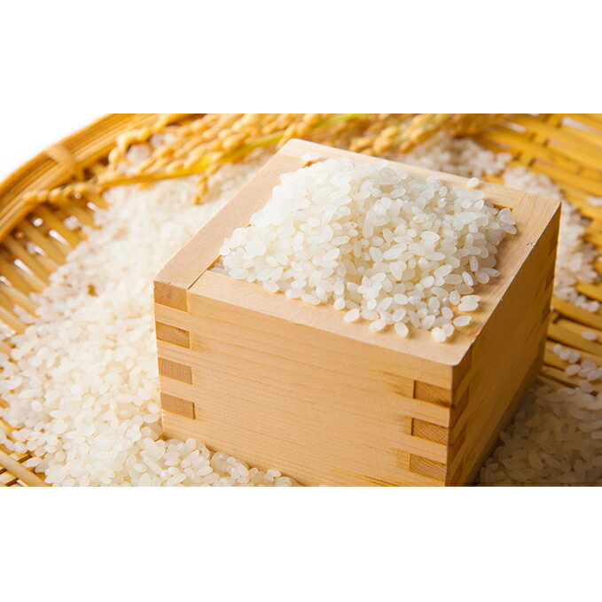 小諸産 こしひかり 10kg 長野 信州 コシヒカリ 精米 美味しいお米 お取り寄せ　
