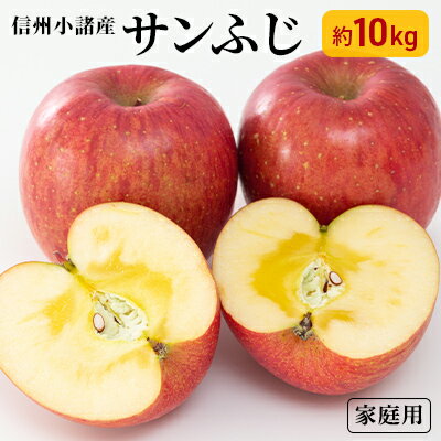 【ふるさと納税】信州小諸産 サンふじりんご 家庭用 約10kg　【果物・フルーツ・林檎】　お届け：2023年11月下旬〜12月上旬