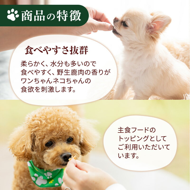 サンプル画像3