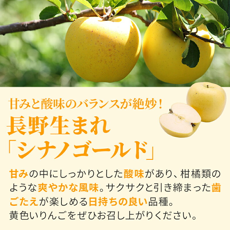 【ふるさと納税】【2026年10月下旬～発送予定】 先行予約 シナノゴールド 秀品 約5kg 16～20玉入 長野県産 果物類 林檎 りんご リンゴ フルーツ 小諸市　お届け：2026年10月下旬～11月下旬 f202088-komoro-10000610 長野県小諸市 サンプル画像3