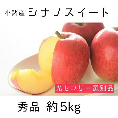 信州小諸産 シナノスイート 秀品 約5kg 長野県産 果物類 林檎 りんご リンゴ　【果物類・林檎・りんご・リンゴ・シナノスイート・約5kg】　お届け：2024年10月中旬～10月下旬