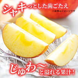 【ふるさと納税】信州小諸産 シナノスイート 秀品 約5kg　【果物類・林檎・りんご・リンゴ・シナノスイート・約5kg】　お届け：2023年10月中旬〜11月上旬･･･ 画像2