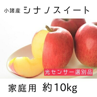 信州小諸産 シナノスイート 家庭用 約10kg 長野県産 果物類 林檎 りんご リンゴ　【果物類・林檎・りんご・リンゴ・シナノスイート・家庭用・約10kg】　お届け：2024年10月中旬～10月下旬