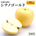 【ふるさと納税】信州小諸産 シナノゴールド 家庭用 約10kg　【果物類・林檎・りんご・リンゴ・シナノゴールド・家庭用・約10kg】　お届け：2023年10月下旬〜11月下旬･･･