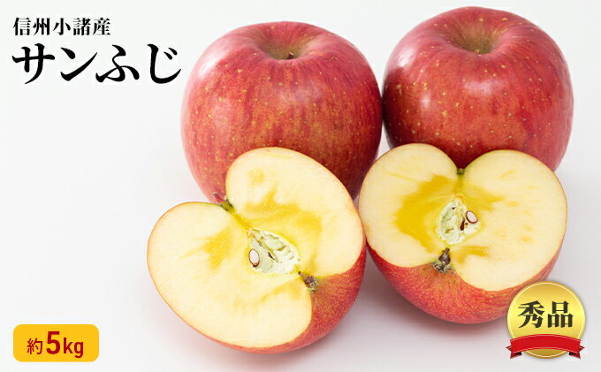 【ふるさと納税】信州小諸産 サンふじりんご 秀品 約5kg 長野県産 果物類 林檎 りんご リンゴ　【果物類・林檎・りんご・リンゴ・サンふじ・約5kg】　お届け：2024年11月下旬～12月上旬
