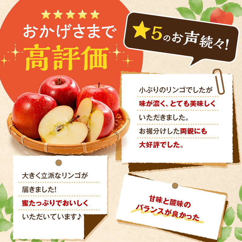 【ふるさと納税】【2026年11月下旬～発送予定】 先行予約 サンふじりんご 秀品 約5kg 12～20玉入 長野県産 果物類 林檎 りんご リンゴ フルーツ 小諸市　お届け：2026年11月下旬～12月中旬 f202088-komoro-10000767 長野県小諸市 サンプル画像3