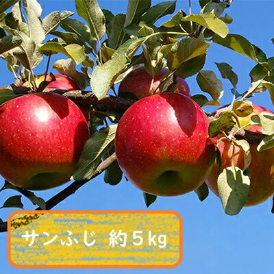 48位! 口コミ数「0件」評価「0」信州小諸・福井りんご園のサンふじ 秀品 約5kg 果物類 林檎 りんご リンゴ サンふじ　【果物類・林檎・りんご・リンゴ・サンふじ・約5kg･･･ 