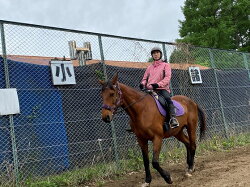 【ふるさと納税】5級乗馬ライセンス取得コース　【体験チケット・5級乗馬ライセンス取得・乗馬】 画像1