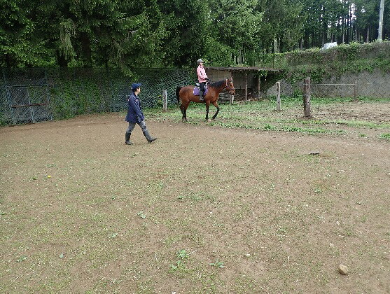 【ふるさと納税】乗馬 体験 まきば軽井沢 選べる乗馬ライセンス取得コース 体験チケット 　お届け：通年 f202088-komoro-10000790 長野県小諸市 サンプル画像3
