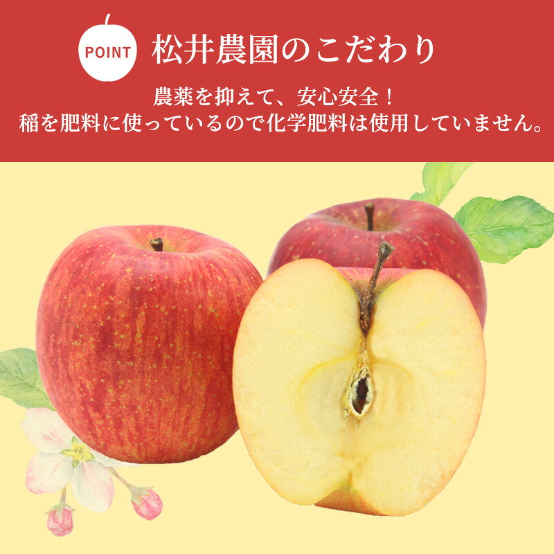 【ふるさと納税】信州小諸 松井農園の秋映 選べる容量 (約2kg～約10kg) 果物類・林檎・りんご・リンゴ　お届け：2026年9月下旬～2026年10月下旬 f202088-komoro-10000830 長野県小諸市 サンプル画像3