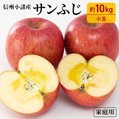 楽天ふるさと納税　【ふるさと納税】信州小諸産 サンふじ りんご 家庭用 小玉 約10kg 長野県産 果物類 林檎 リンゴ　【果物類・林檎・りんご・リンゴ・サンふじ・約10kg・フルーツ】　お届け：2024年11月下旬～12月中旬