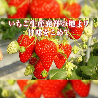 長野県小諸市 | ふるさと納税の返礼品一覧(19サイト横断・人気順 ...