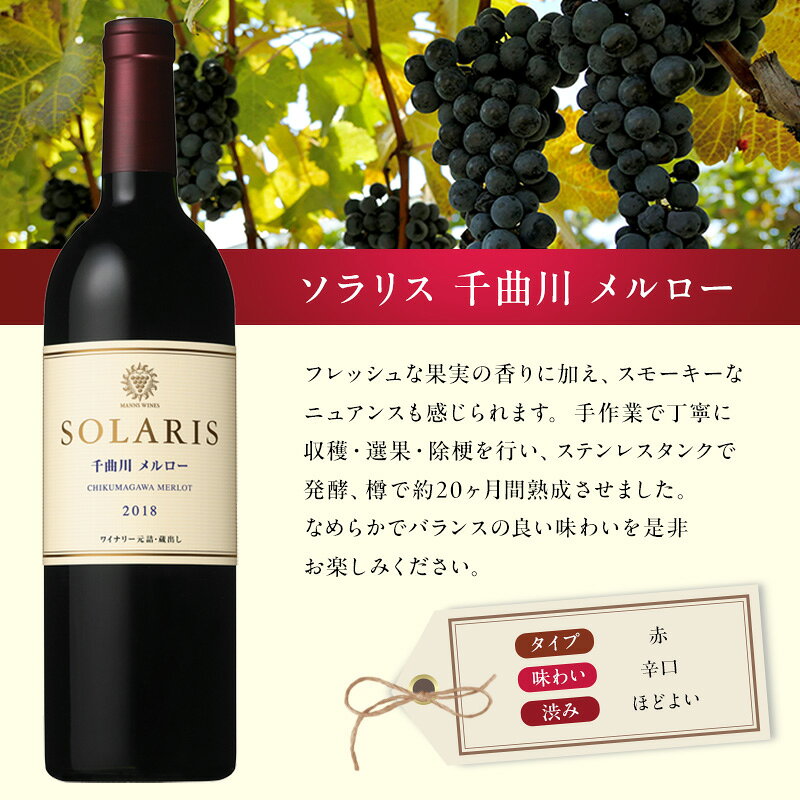 【ふるさと納税】ワイン 信州ワイン 赤 ソラリス 千曲川 メルロー 750ml 選べる容量 1本 6本　お届け：寄附入金確認後、随時発送