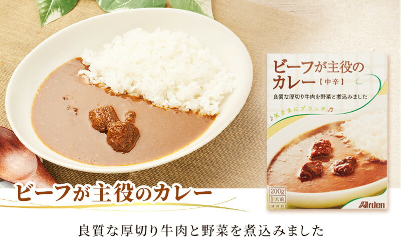 【ふるさと納税】アーデン バラエティセット 5種15箱セット 各200g レトルトカレー インスタント まとめ買い ビーフカレー 加工食品 惣菜 野菜 コーンポタージュ クラムチャウダー ミートソース f202088-komoro-10000996 長野県小諸市 サンプル画像3