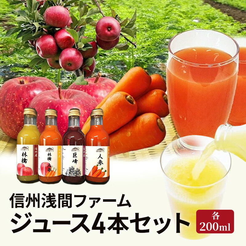 【ふるさと納税】信州浅間ファーム・ジュース 4本セット（各200ml）　【 果汁飲料 林檎 リンゴ 野菜飲料 ニンジン にんじん 葡萄 ブドウ 信州産 フルーツ 野菜 】