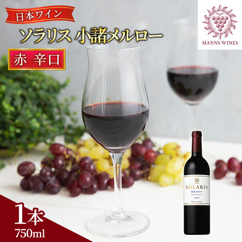 【ふるさと納税】日本ワイン ソラリス 小諸 メルロー ワイン