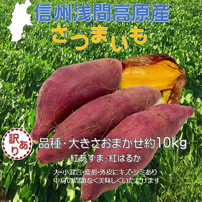 【ふるさと納税】さつまいも 約10kg 食べ比べ　【野菜・サツマイモ・さつまいも】　お届け：2022年10月上旬〜11月下旬