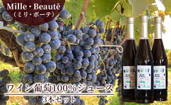 【ふるさと納税】Mille・Beauté (ミリ・ボーテ）ワイン葡萄100％ジュース 3本セット　【 果汁飲料 ぶどうジュース グレープジュース ワイン用葡萄使用 飲み物 ソフトドリンク 長野県産ブドウ使用 国産ブドウ使用 】･･･ 画像1