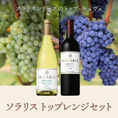 ソラリス トップレンジセット [ ワインセット ワイン 赤ワイン 白ワイン シャルドネ メルロー 果実味 酸味 トースト香 スパイス 果実味 タンニン ]