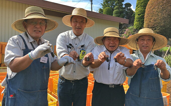 【ふるさと納税】同時に楽しめる！ブルーベリー狩り・カブト虫狩り 長野県下最大級 体験チケット　お届け：2026年7月上旬～8月下旬
